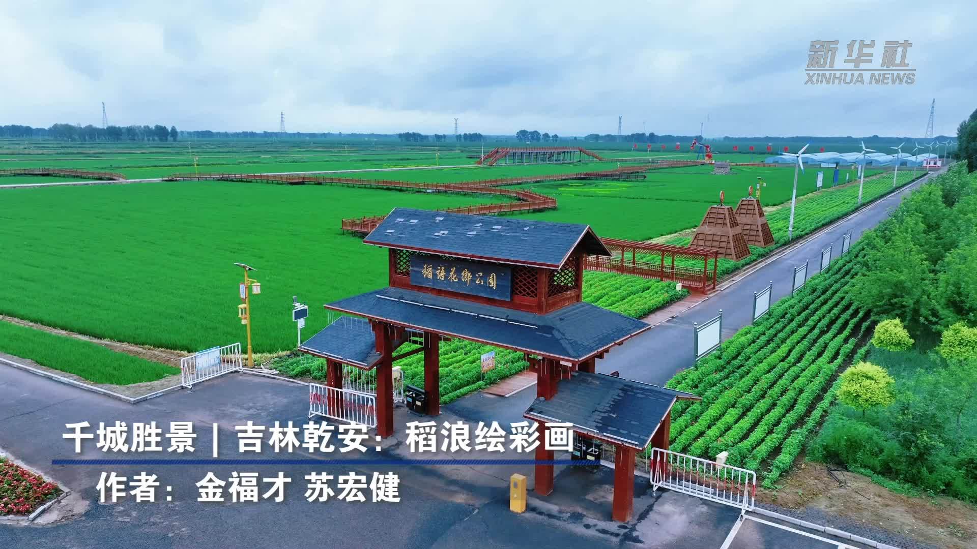 千城胜景｜吉林乾安：稻浪绘彩画