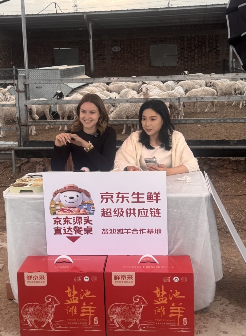 京东开羊季收官站落地“中国滩羊之乡”!首批定养数万只滩羊,助力农户稳增收