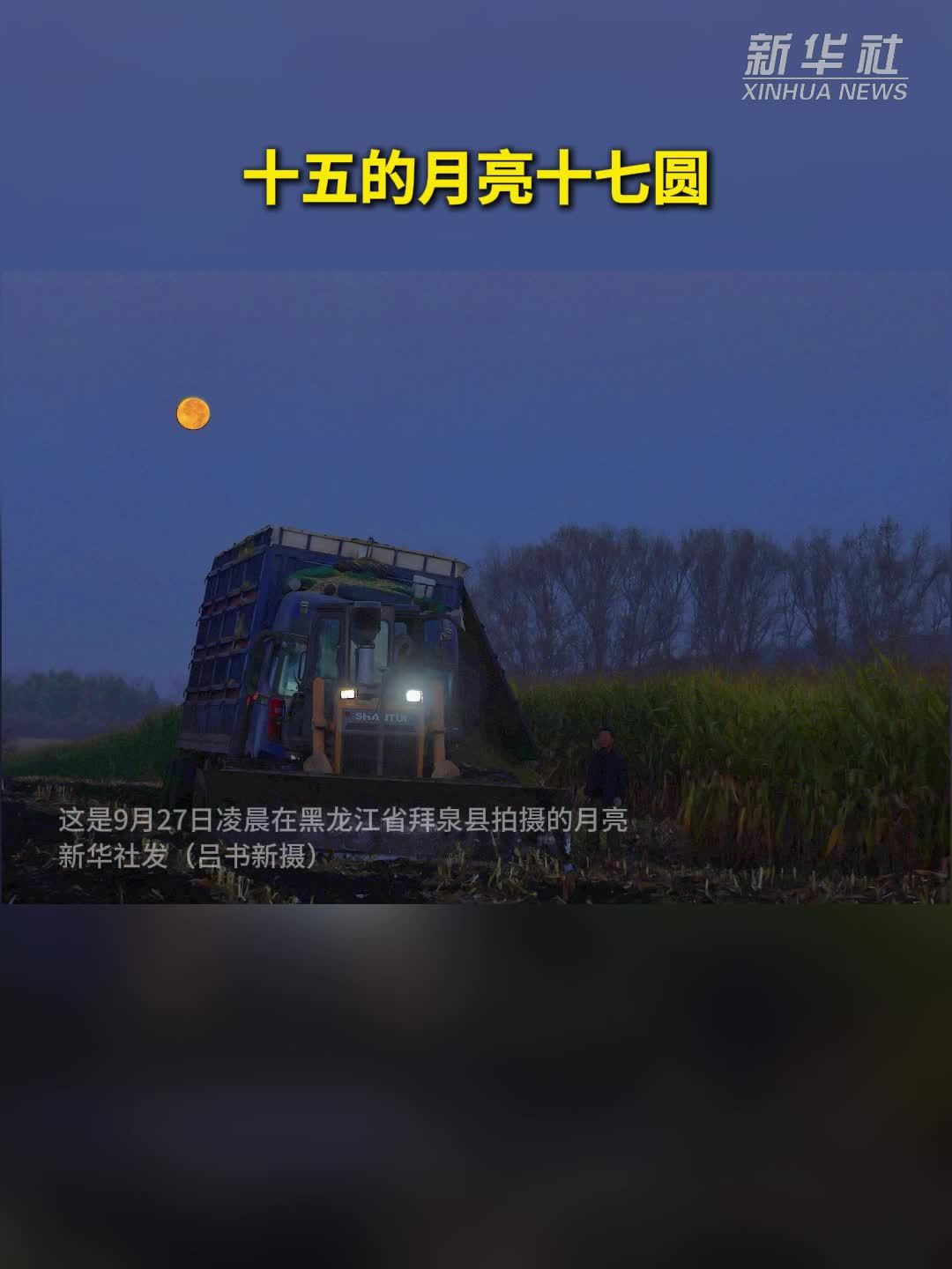 十五的月亮十七圆