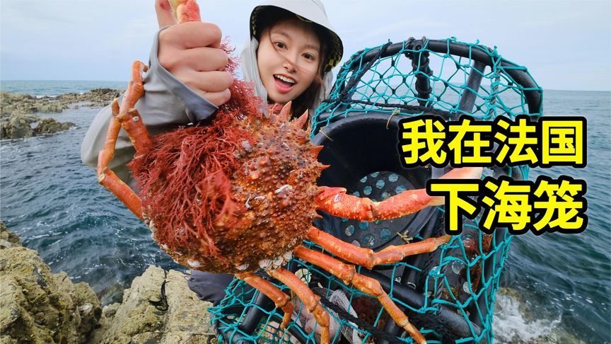 法国海里下笼子能抓什么？抓8斤重巨大螃蟹做奶油海鲜锅
