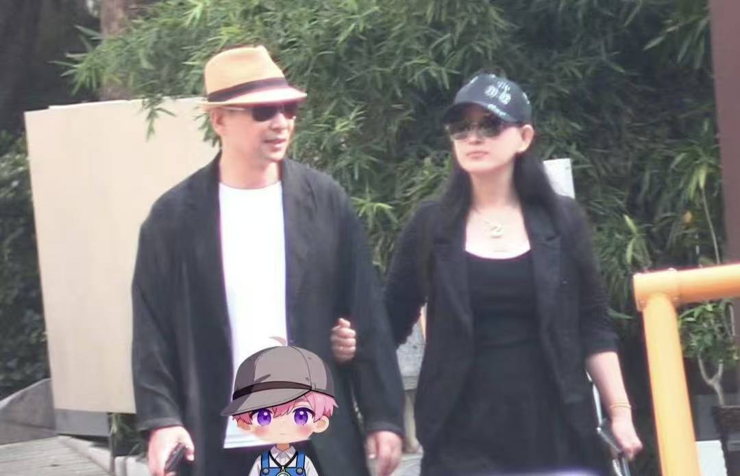 赵文卓妻子被拍小腹隆起 引发四胎猜想