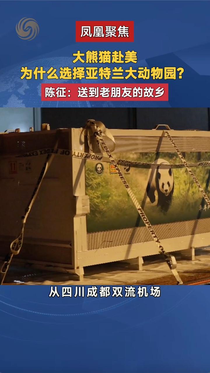 大熊猫“平平”“福双”赴美，为什么选亚特兰大动物园？学者解读