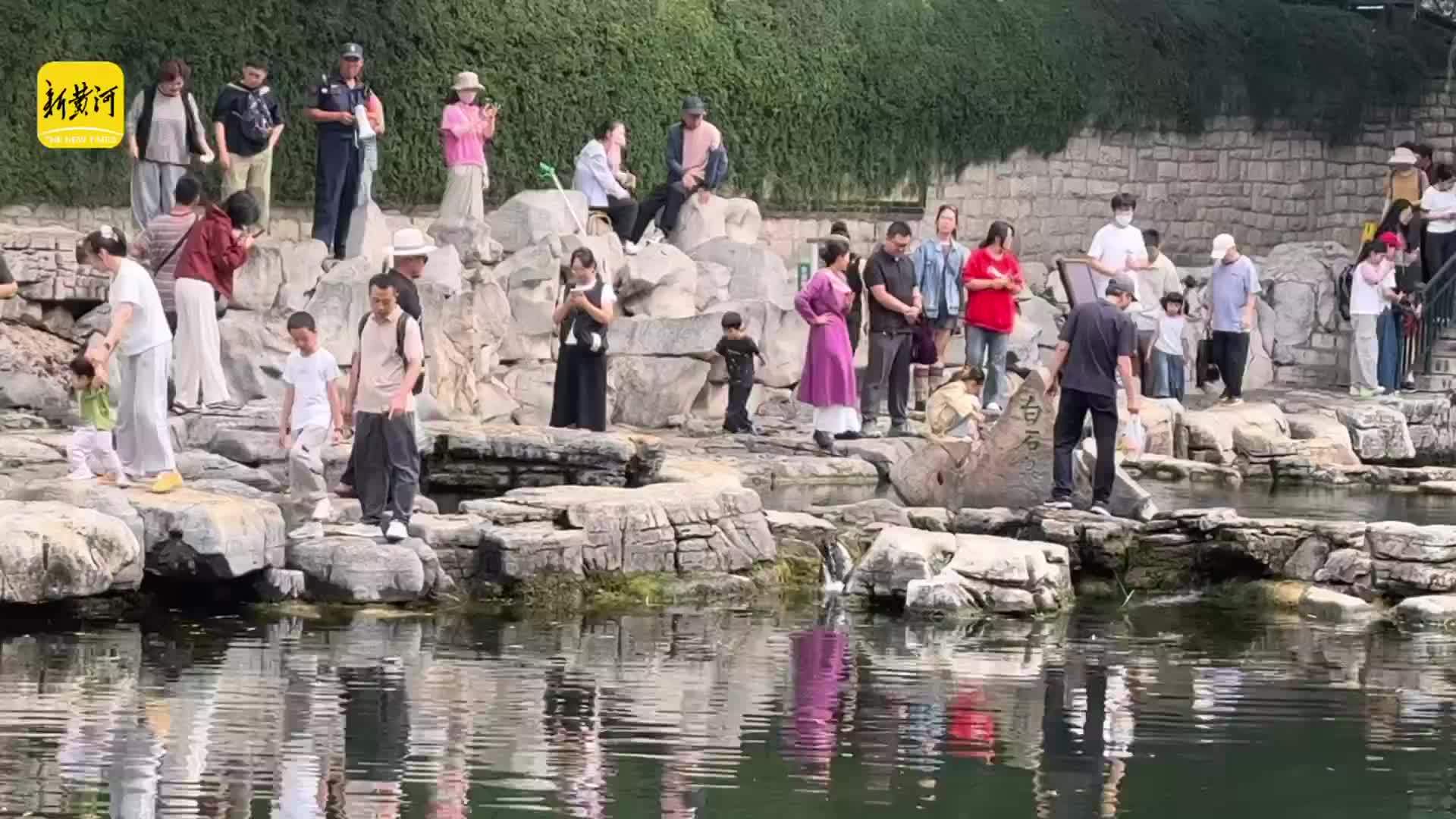 群泉竞涌醉金秋  济南护城河畔泉涌人欢景致绝佳