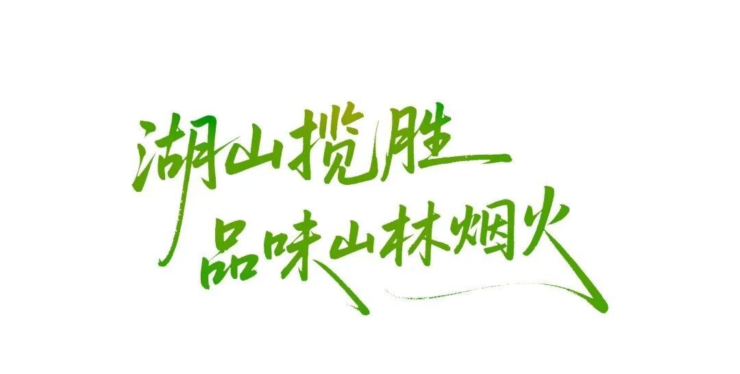 漫游标题7.png