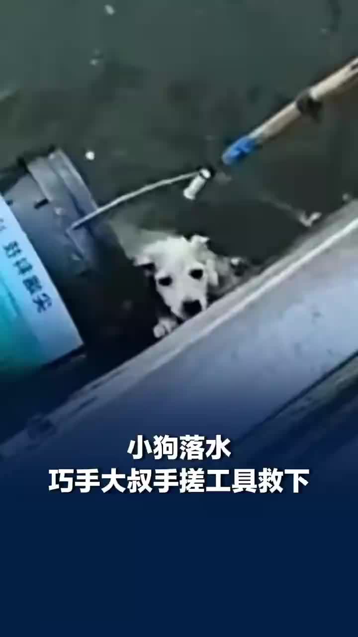 小狗落水被巧手大叔手搓工具救下