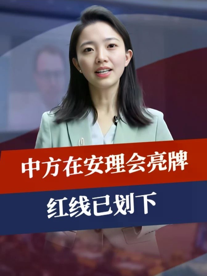 法国坐上主席位，中方在安理会亮牌，红线已划下，四常都没有异议#零基础看懂全球 #全球创作者计划