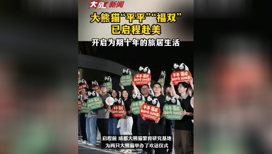 大熊猫“平平”“福双”已启程赴美 开启为期十年的旅居生活