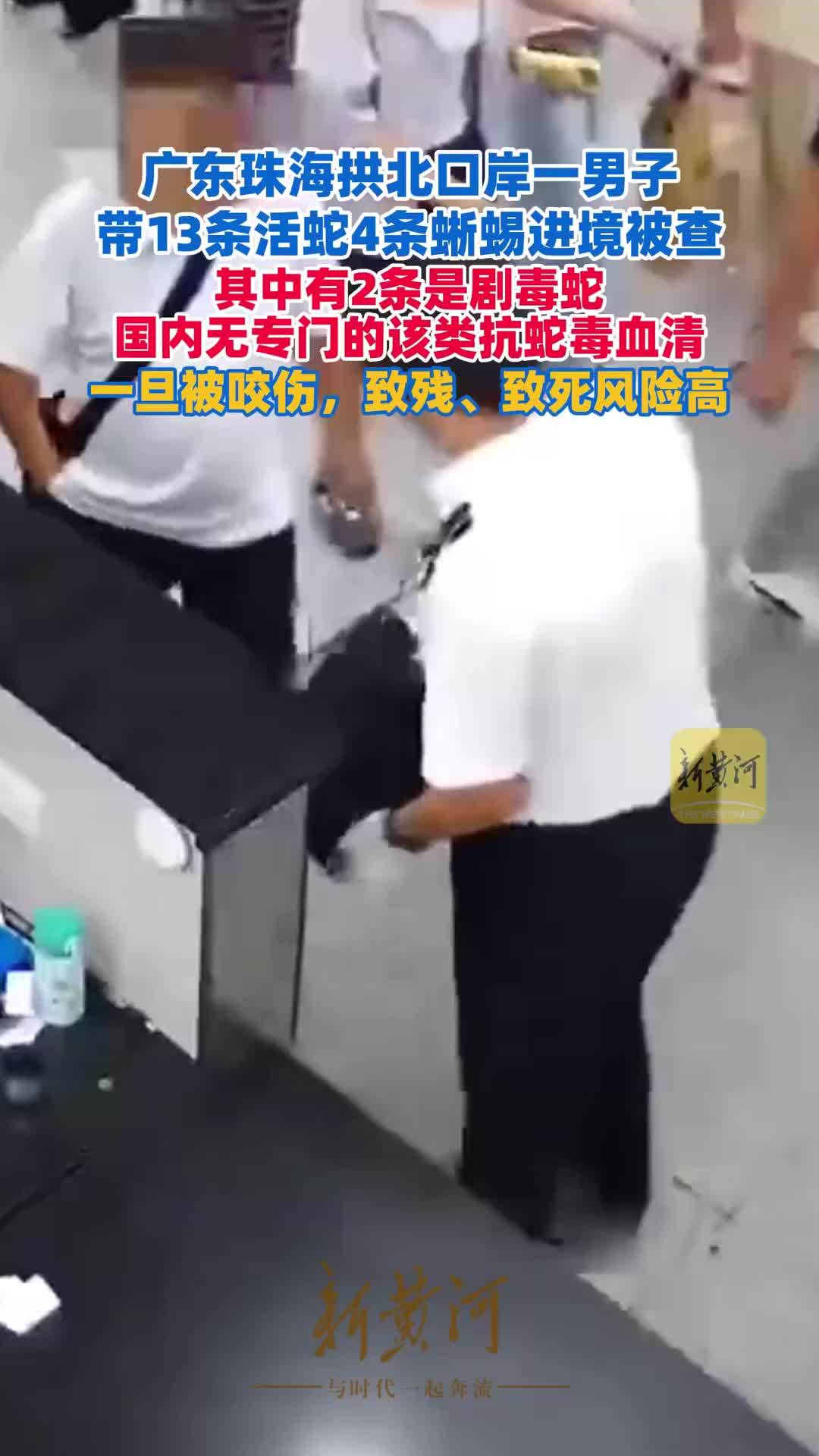 广东珠海拱北口岸一男子带13条活蛇4条蜥蜴进境被查，其中有2条是剧毒蛇，国内无专门的该类抗蛇毒血清，一旦被咬伤，致残、致死风险高