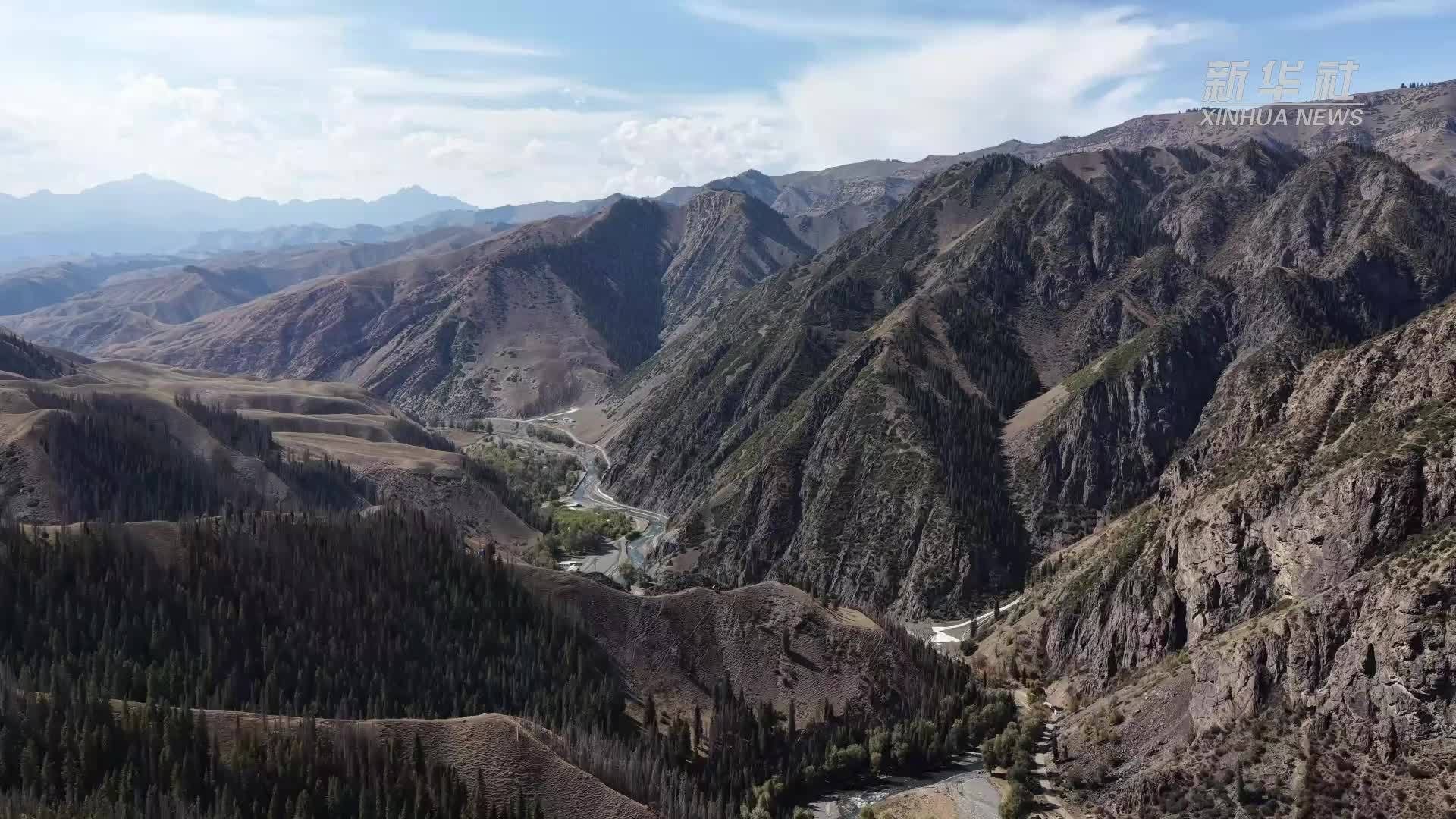 瞰中国｜新疆昌吉：秋日山野遇见北山羊