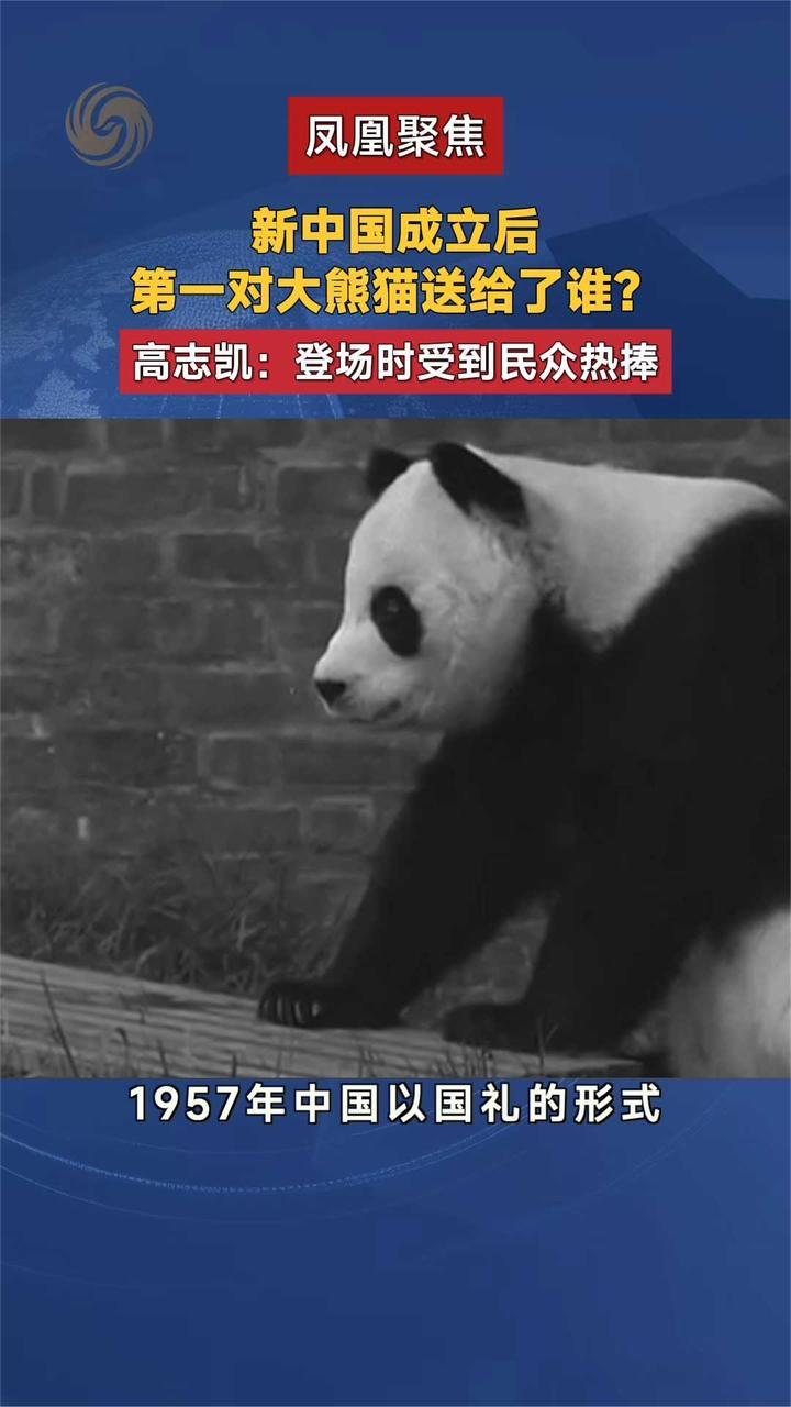 新中国成立后 第一对大熊猫送给了谁？高志凯：登场时受到民众热捧
