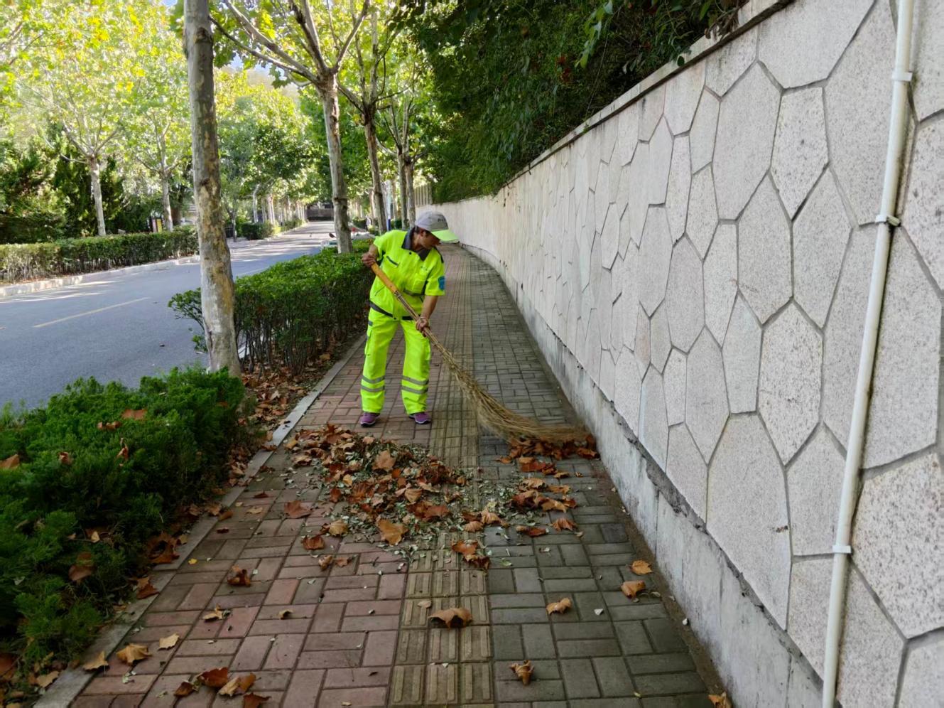 (环卫工人清扫人行道落叶)