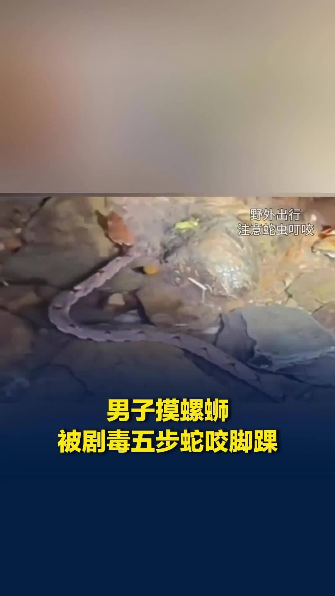 男子山上溪流摸螺蛳，被草丛中剧毒五步蛇咬中脚踝，当事人：蛇有一米多长，咬完就跑了