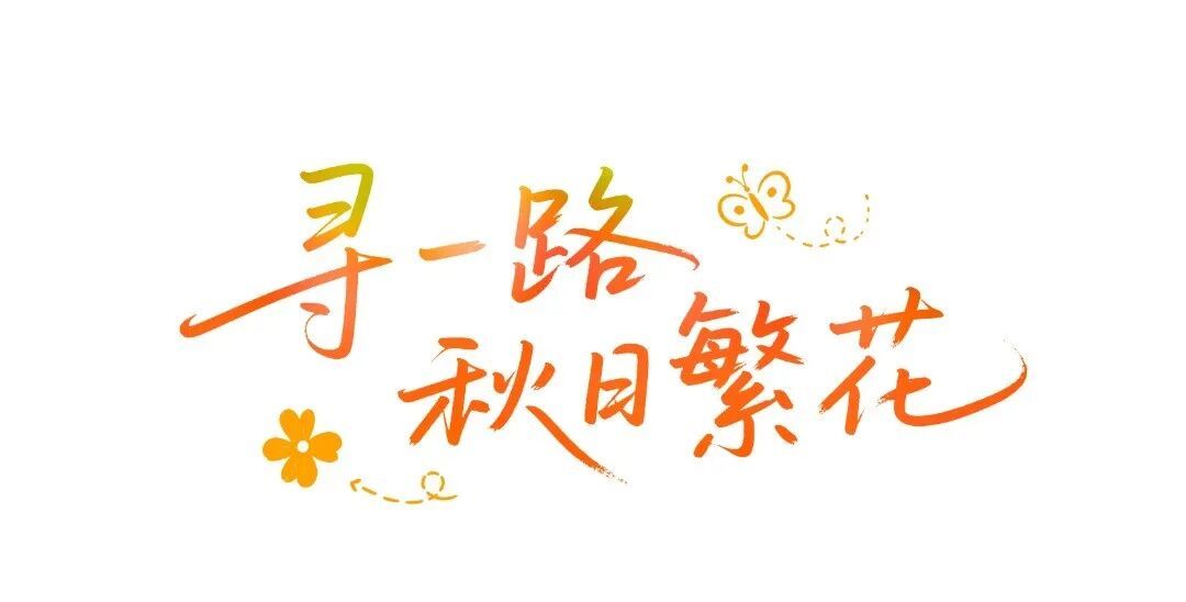 漫游标题5.png