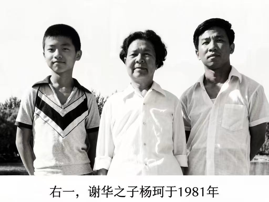 谢旻言：剑胆文心——谢华的双重使命