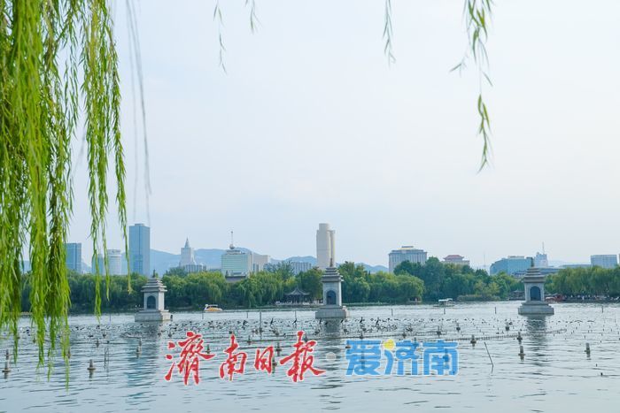 大明湖秋日湖光如画 游人泛舟享闲情
