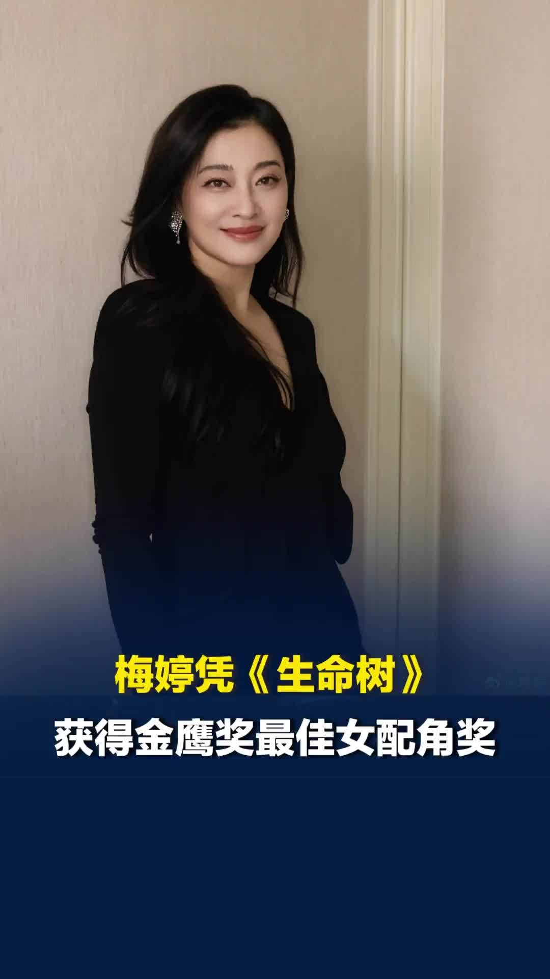 梅婷凭《生命树》获得金鹰奖最佳女配角奖