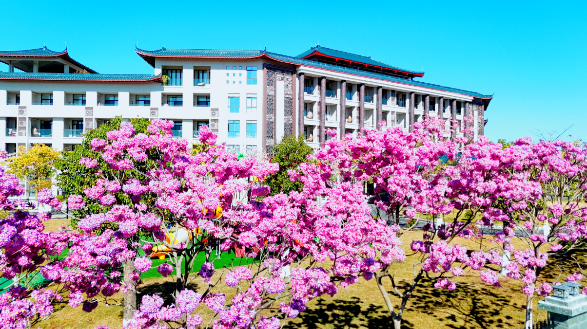 来霍山一定要住这家！推窗直面丹霞奇峰