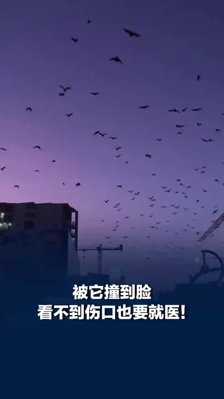 被它撞到脸看不到伤口也要就医