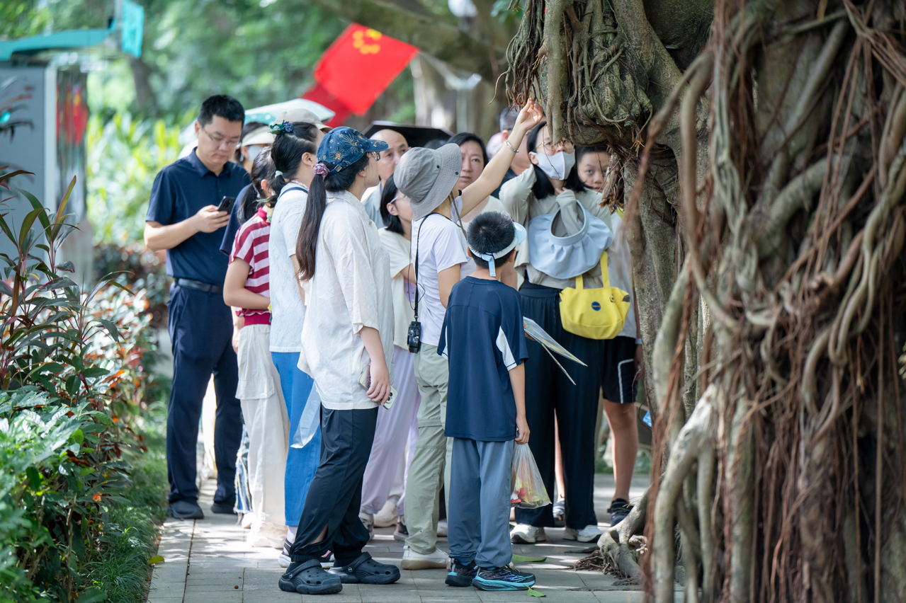 展厅即课堂,艺术即生活 ——关山月美术馆公共教育让艺术可触可感