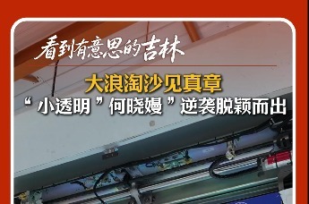 从“小透明”逆袭成为冠军中的冠军