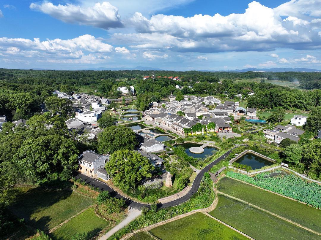 古樟树环抱的吉安市吉州区钓源古村。田野 摄