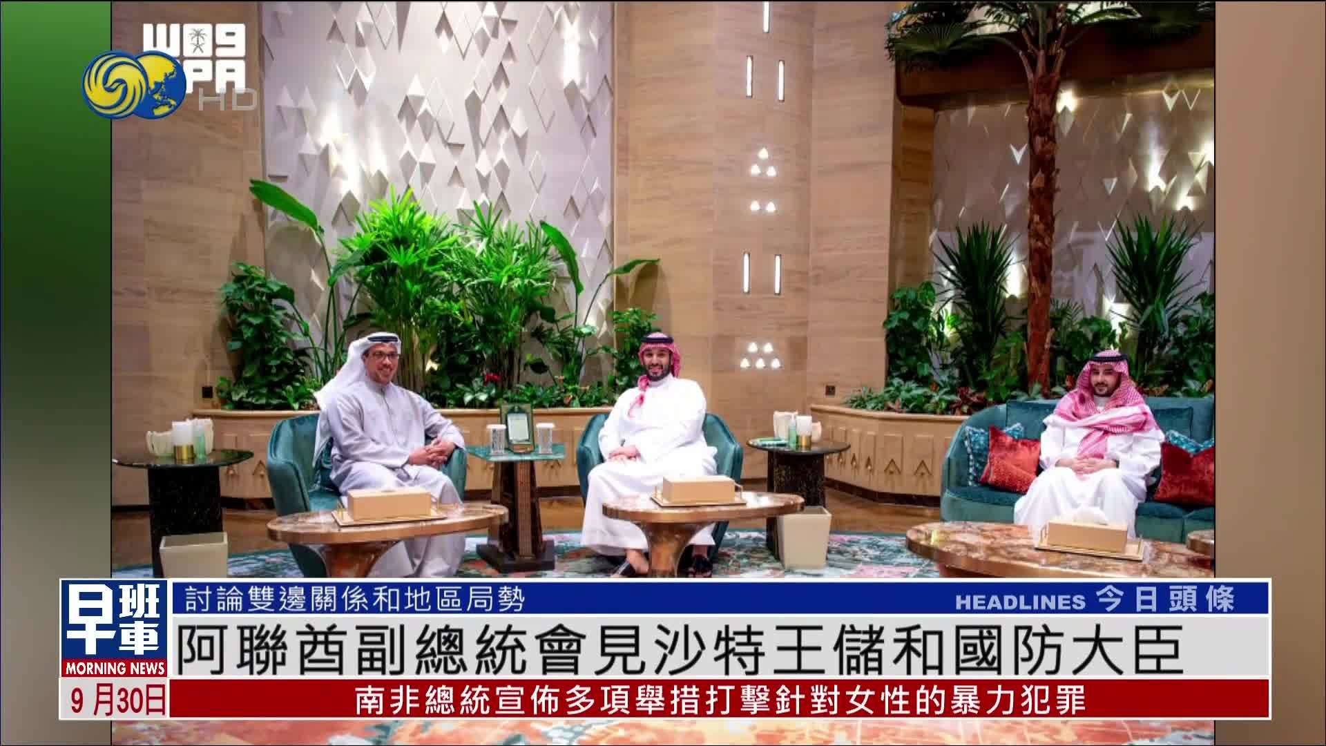 阿联酋副总统会见沙特王储和国防大臣