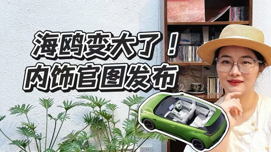 海鸥变大了？内饰官图发布
