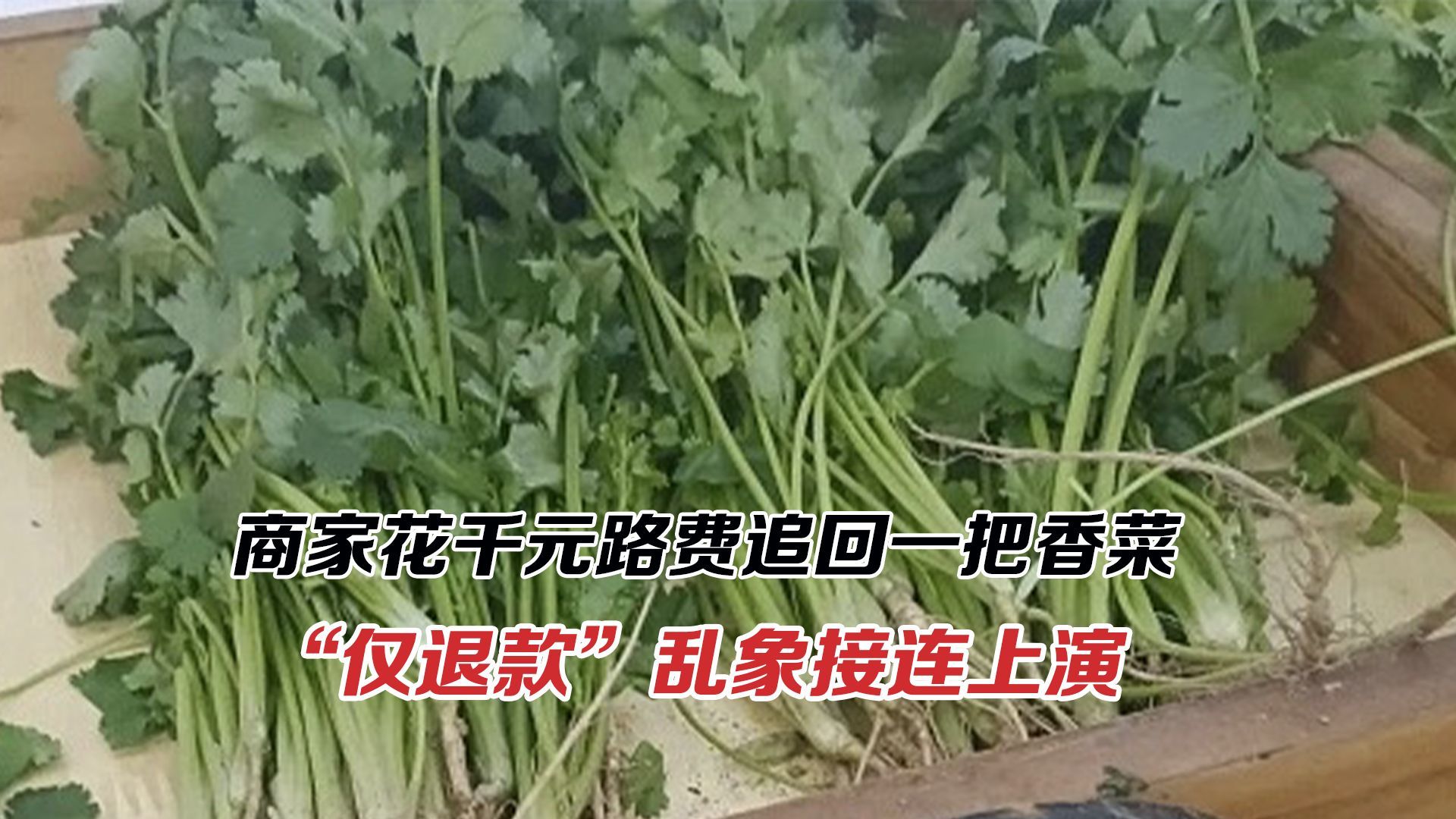 商家花千元路费追回一把香菜，“仅退款”乱象为何难根治？