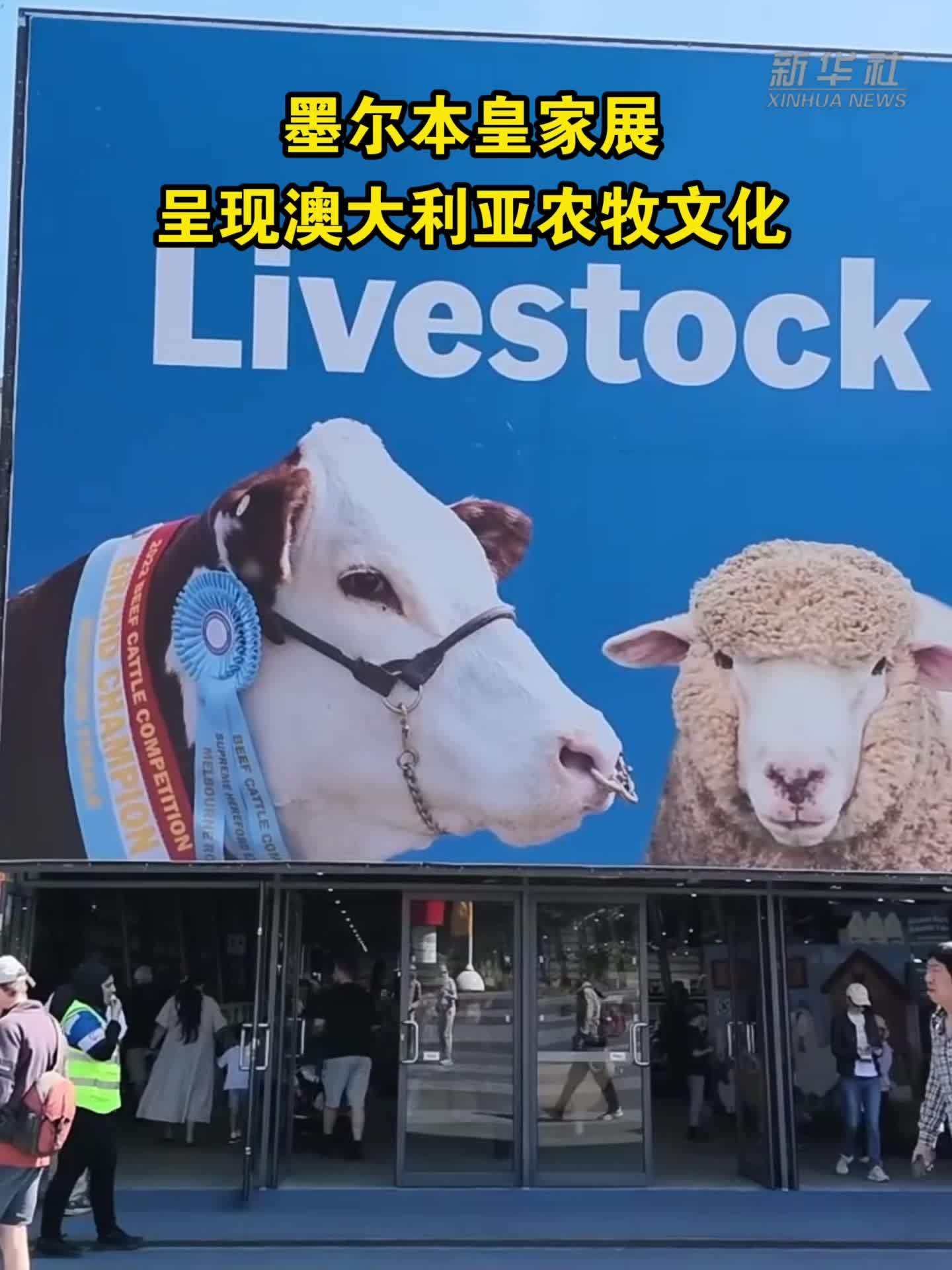 墨尔本皇家展呈现澳大利亚农牧文化