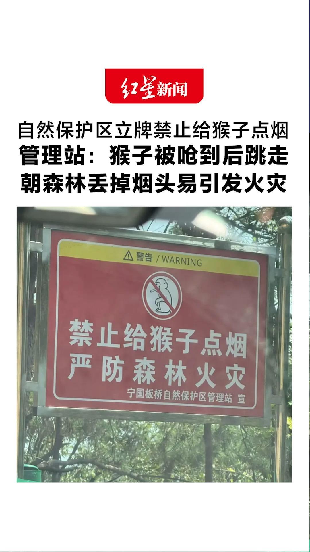 安徽一自然保护区立牌警示 禁止给猴子点烟 管理站：猴子被呛到后跳走 朝森林丢掉烟头易引发火灾