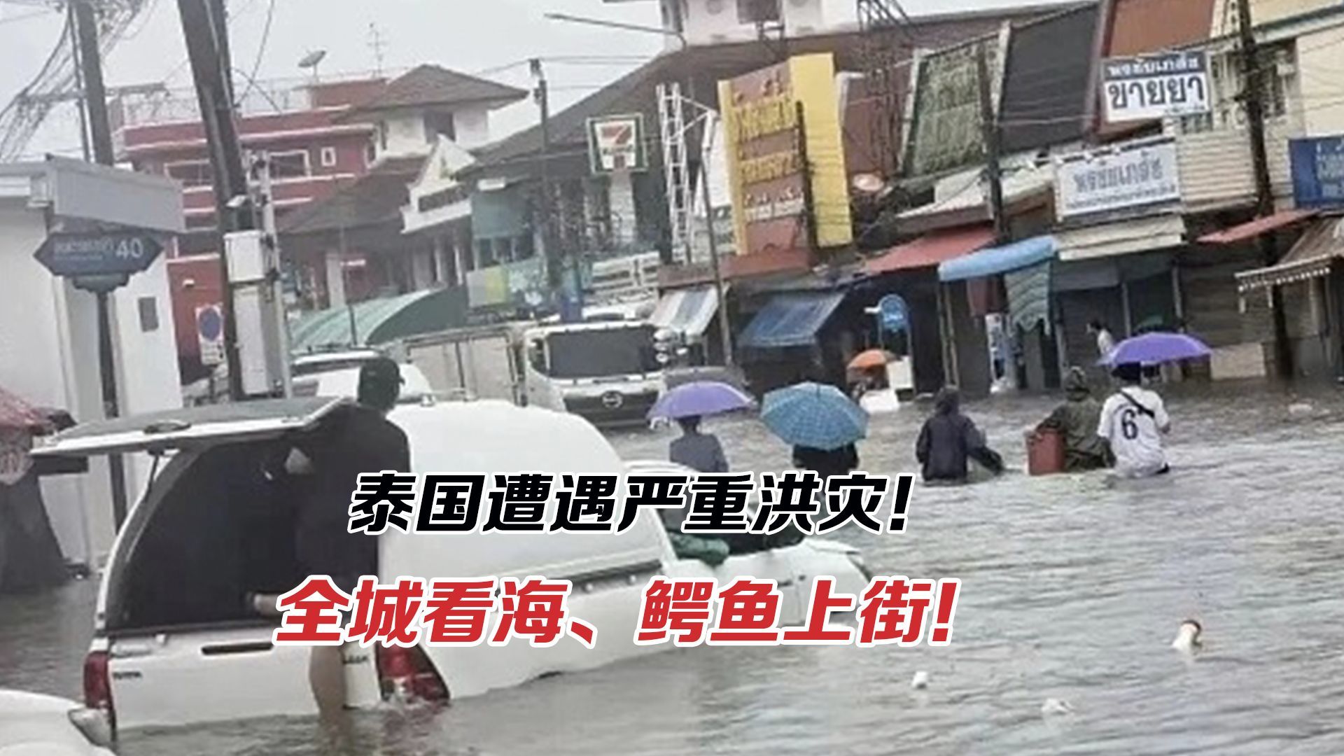 泰国遭遇严重洪灾！这轮降雨为何破坏性这么强？