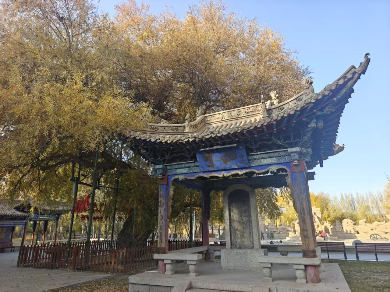 酒泉市肃州区4A级旅游景区西汉酒泉胜迹秋 (5).jpg