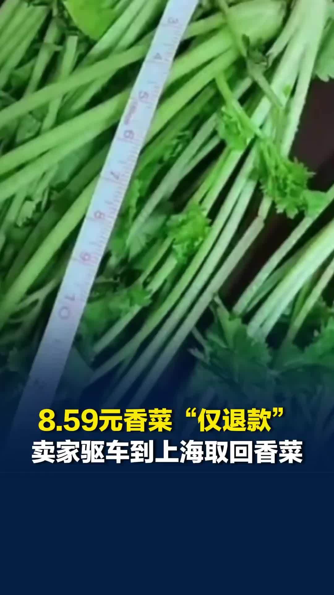 8.59元香菜 “仅退款”，卖家驱车从徐州到上海取回香菜，往返花费千元