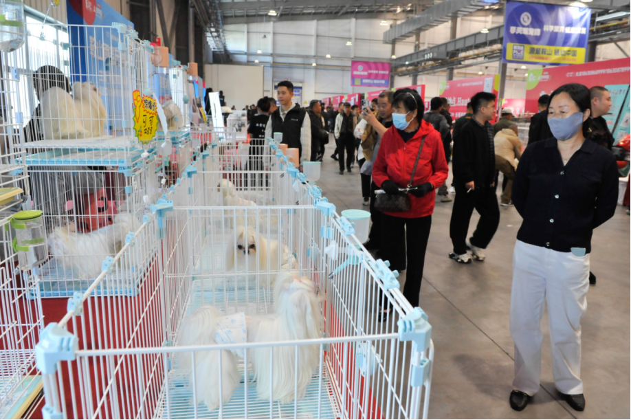 “科学繁育 健康发展”2026首届宠物产业源头博览会开幕式圆满落幕