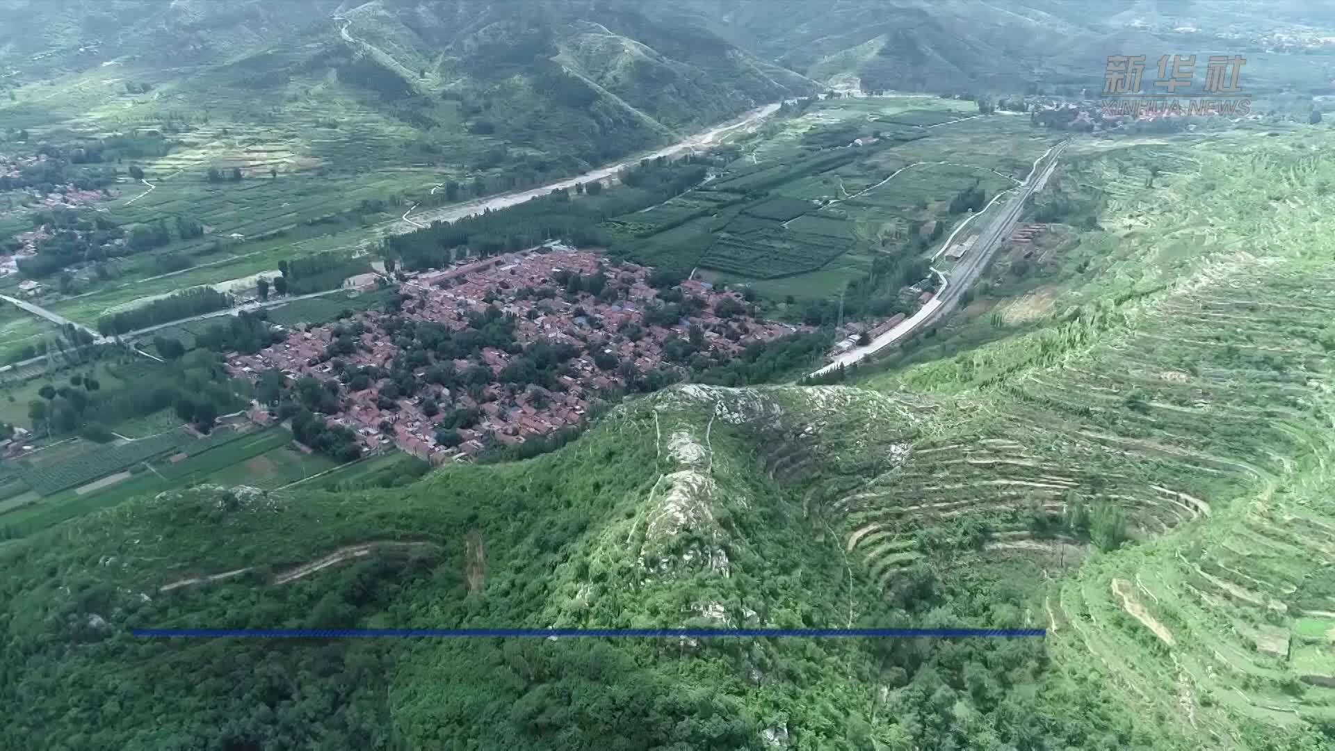 山东淄博：乡土研学启新知 田间课堂育新人