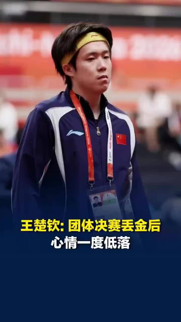 王楚钦林诗栋再谈国乒男团负于日本