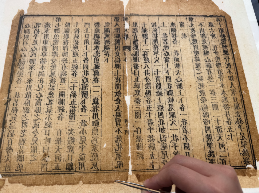江西传媒职业学院首次开设古籍修复方向专业