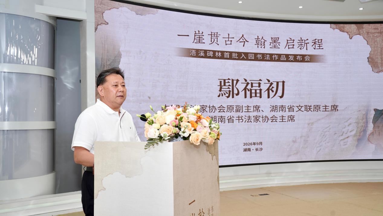 （鄢福初发言）