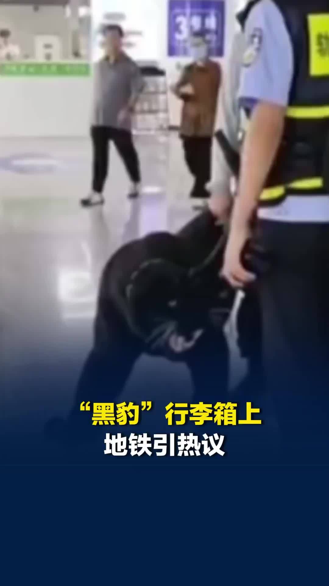 “黑豹”行李箱上地铁引热议，济南地铁：尺寸合规可正常进站，但也要避免惊扰乘客