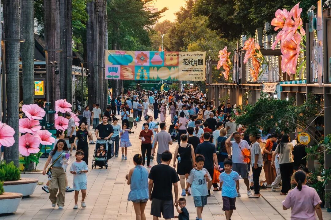 国庆开市!限时3天!深圳独一份的器物市集