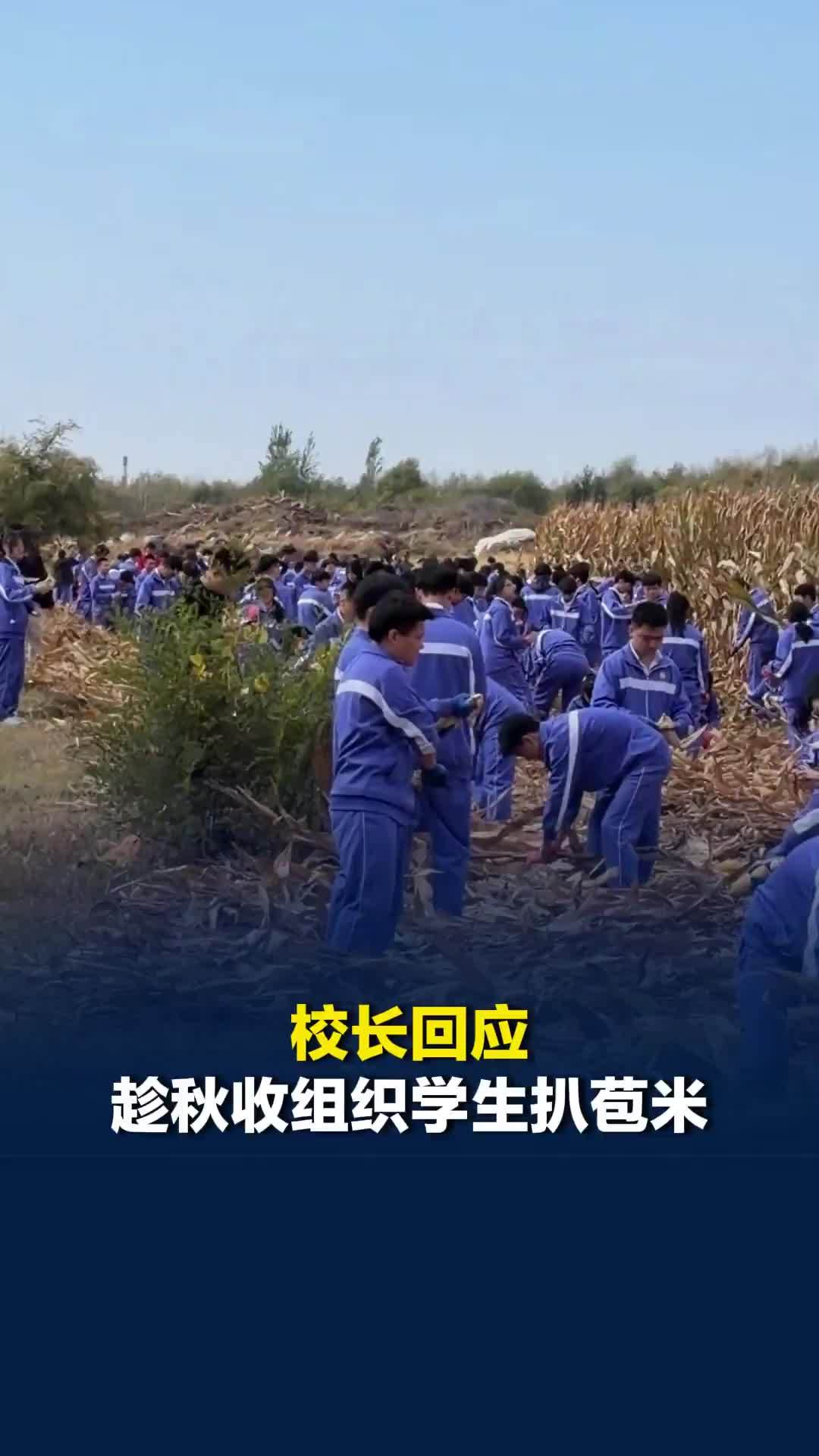 校长回应趁秋收组织学生扒苞米：是劳动研学活动，学生自愿报名，让学生体验劳动的快乐