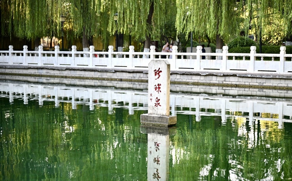 秋染珍珠泉 泉城古韵引游人沉醉