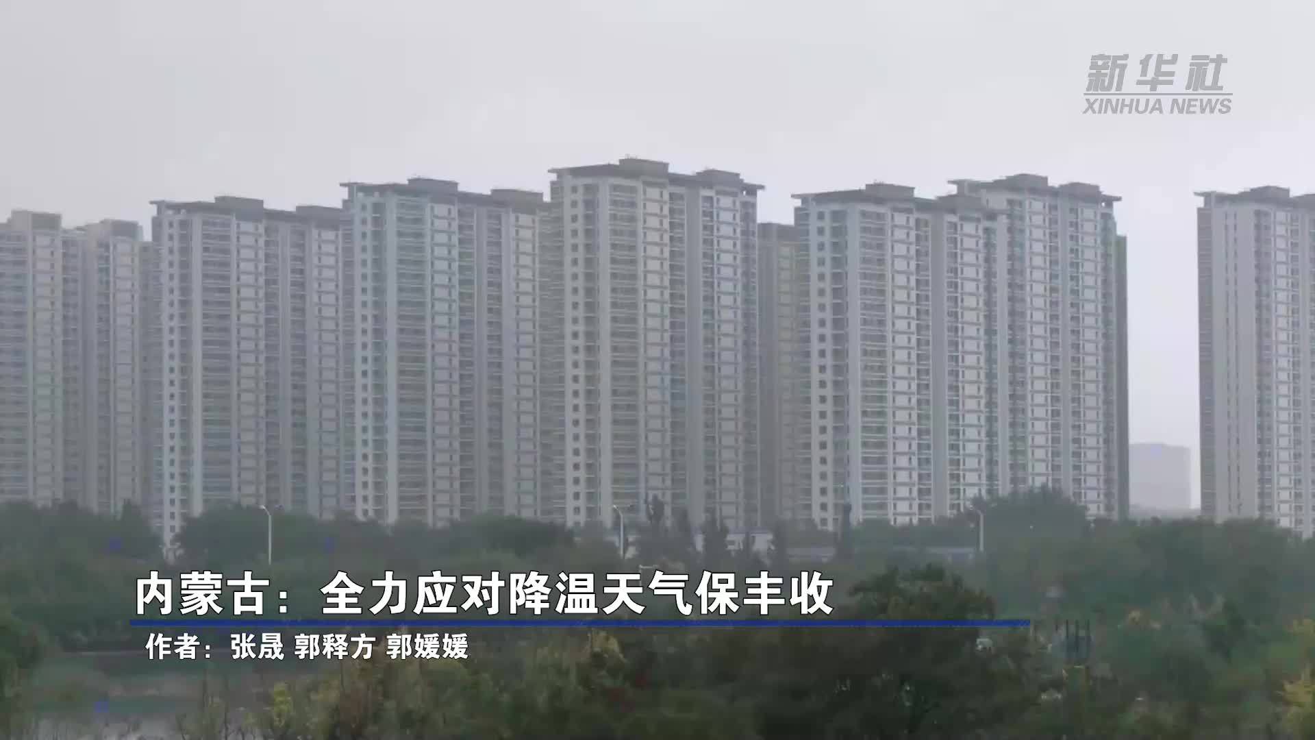 内蒙古：全力应对降温天气保丰收