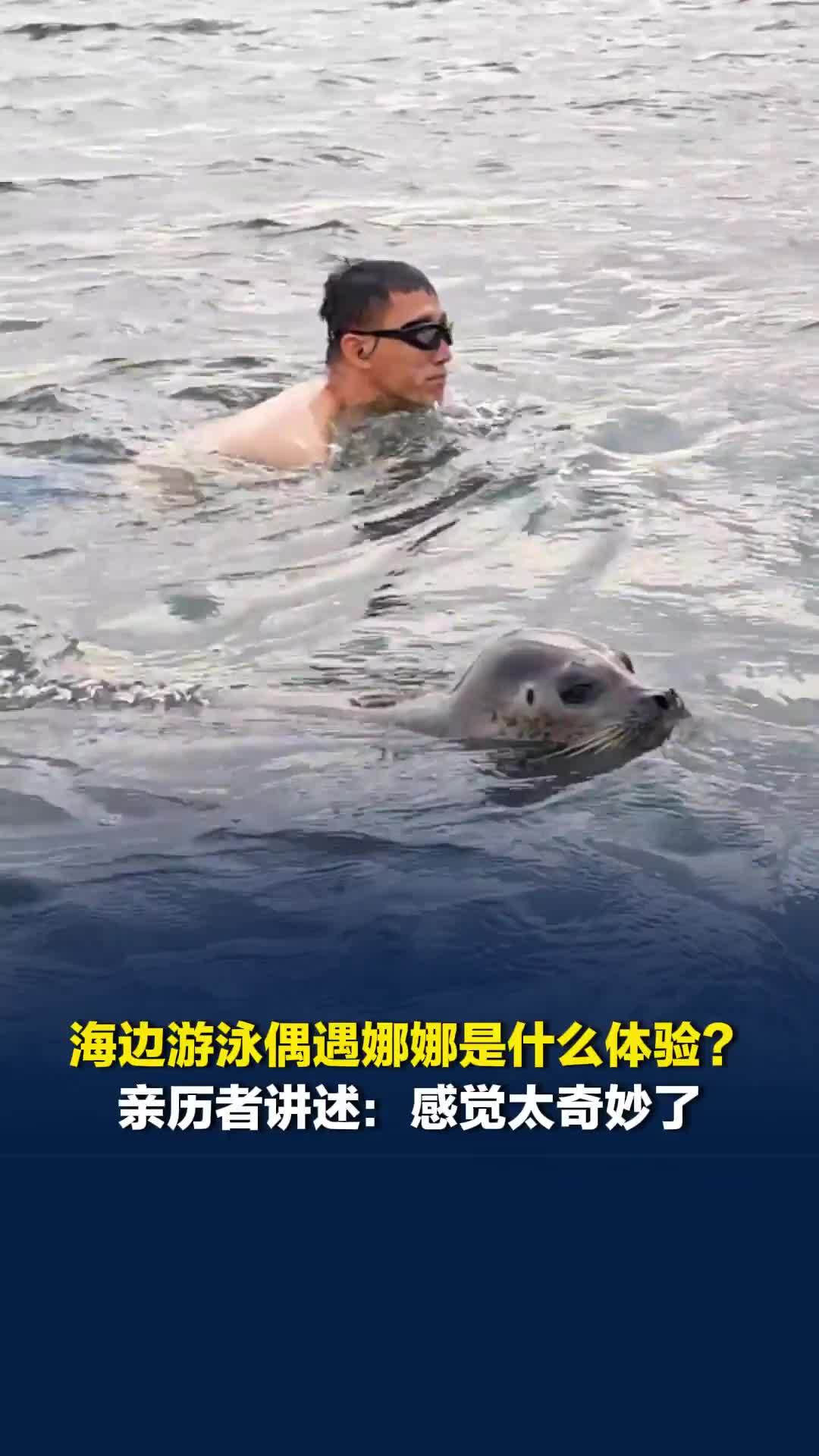 海边游泳偶遇娜娜是什么体验？亲历者讲述：感觉太奇妙了，它就像一个精灵