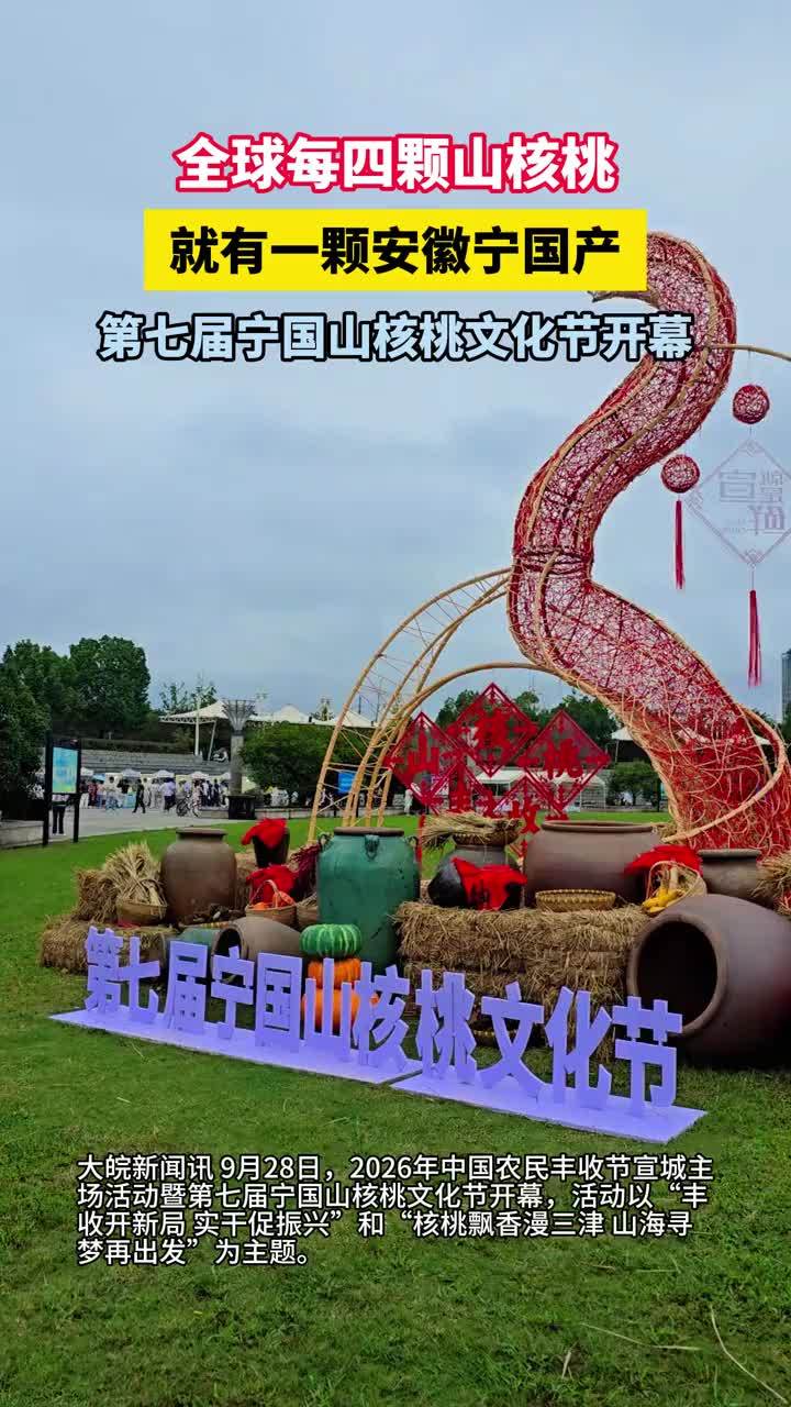 #媒体原创 全球每四颗山核桃就有一颗安徽宁国产 第七届宁国山核桃文化节开幕 #宁国山核桃 #宁国山核桃节