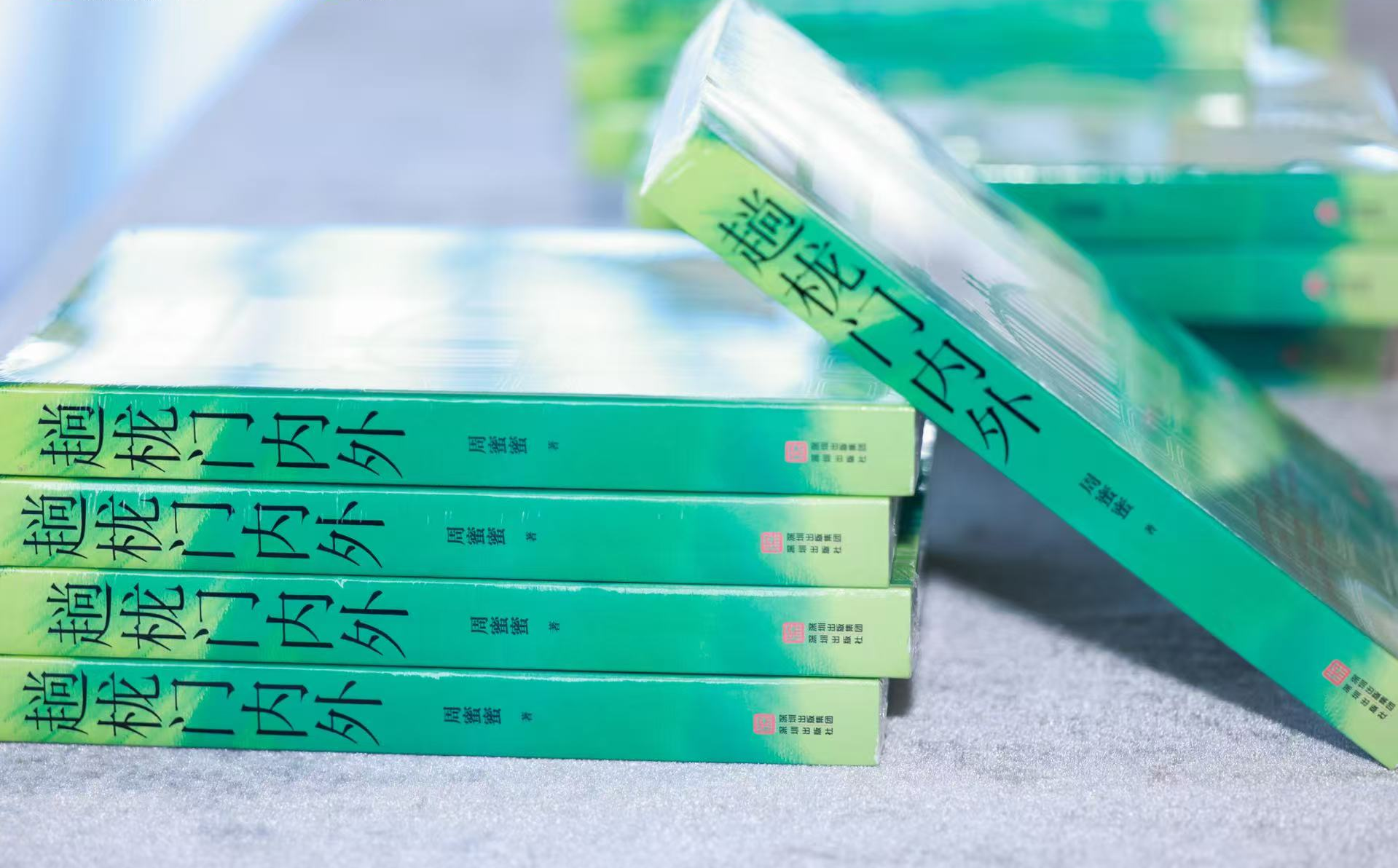书写岭南百年烟火与湾区家国情怀——鹏城文学院签约作品《趟栊门内外》分享会成功举办