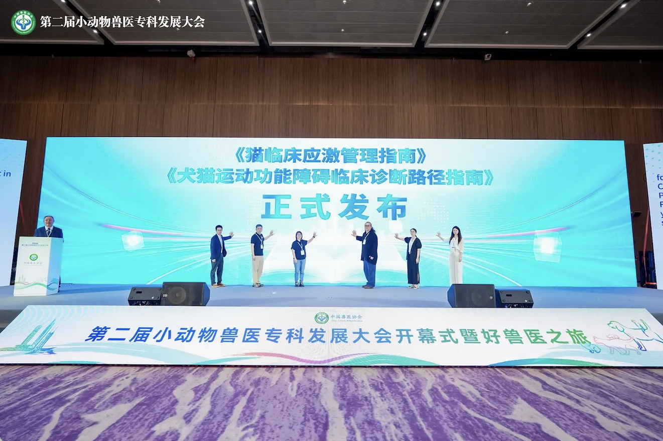 猫后肢无力科普配图