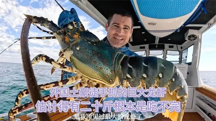 外国土豪徒手抓的巨大龙虾，估计得有二十斤，根本是吃不完