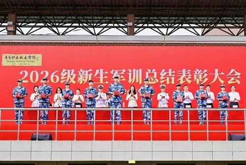 表彰军训先进个人