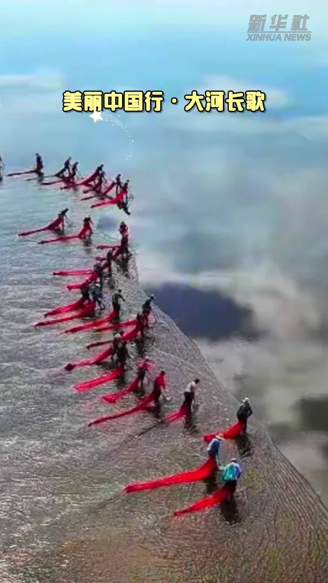 美丽中国行·大河长歌｜秋至黄河口 拾泥螺迎丰收